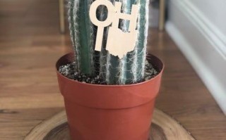 轻松DIY：用Cricut Maker自制木质州名挂饰