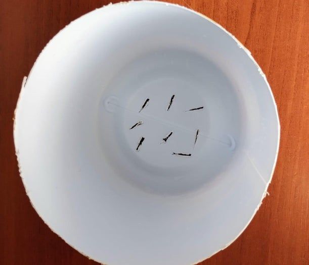 旧瓶变花盆：环保手工DIY教程-第12张图片-趣作屋