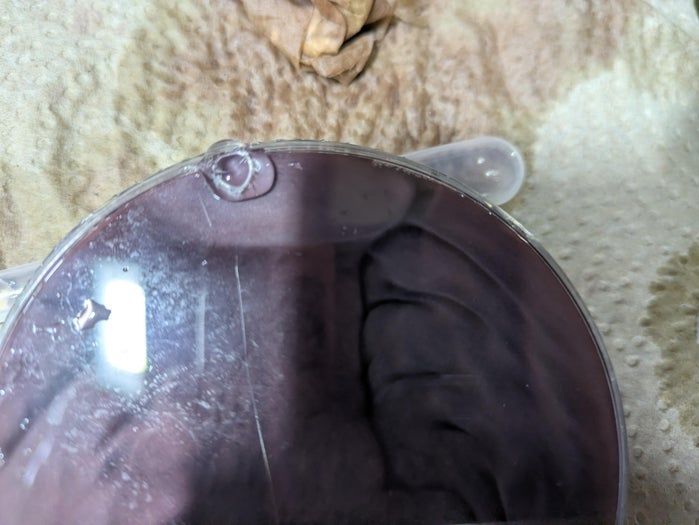 超简单自制流动显示液体解压玩具教程-第9张图片-趣作屋 超简单自制流动显示液体解压玩具教程-第9张图片-趣作屋