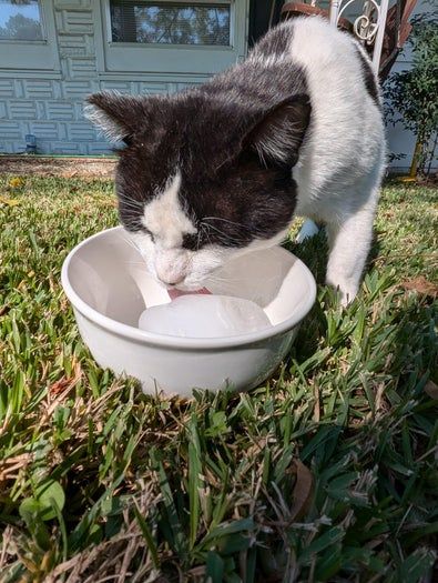 怀旧风秋季手工铁皮灯笼制作教程-第9张图片-趣作屋