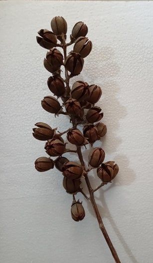 用Tamhan果实手工制作彩色人造花教程-第3张图片-趣作屋