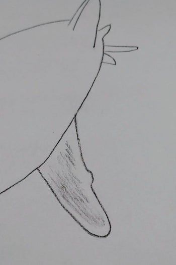 用炭笔画鲨鱼,致敬海洋守护者的艺术之旅-第11张图片-趣作屋 用炭笔画鲨鱼,致敬海洋守护者的艺术之旅-第11张图片-趣作屋