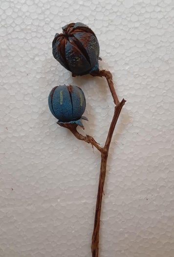 用Tamhan果实手工制作彩色人造花教程-第6张图片-趣作屋