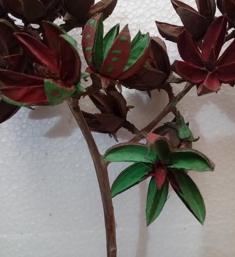 用Tamhan果实手工制作彩色人造花教程-第5张图片-趣作屋