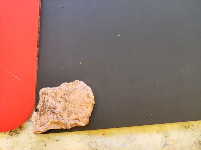 低成本手工制作创意树皮小艺术品教程-第10张图片-趣作屋