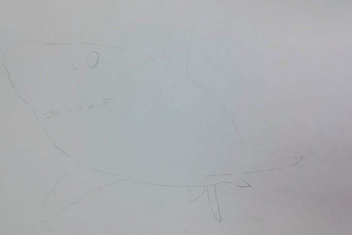 用炭笔画鲨鱼,致敬海洋守护者的艺术之旅-第6张图片-趣作屋 用炭笔画鲨鱼,致敬海洋守护者的艺术之旅-第6张图片-趣作屋