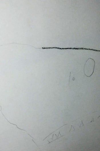 用炭笔画鲨鱼,致敬海洋守护者的艺术之旅-第8张图片-趣作屋 用炭笔画鲨鱼,致敬海洋守护者的艺术之旅-第8张图片-趣作屋