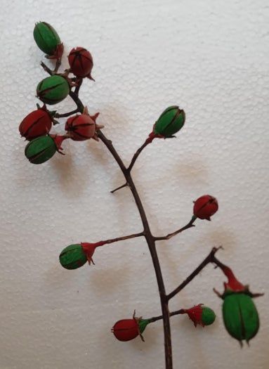 用Tamhan果实手工制作彩色人造花教程-第9张图片-趣作屋