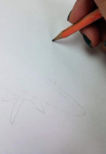 用炭笔画鲨鱼,致敬海洋守护者的艺术之旅-第4张图片-趣作屋 用炭笔画鲨鱼,致敬海洋守护者的艺术之旅-第4张图片-趣作屋