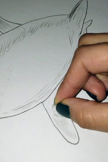 用炭笔画鲨鱼,致敬海洋守护者的艺术之旅-第15张图片-趣作屋 用炭笔画鲨鱼,致敬海洋守护者的艺术之旅-第15张图片-趣作屋