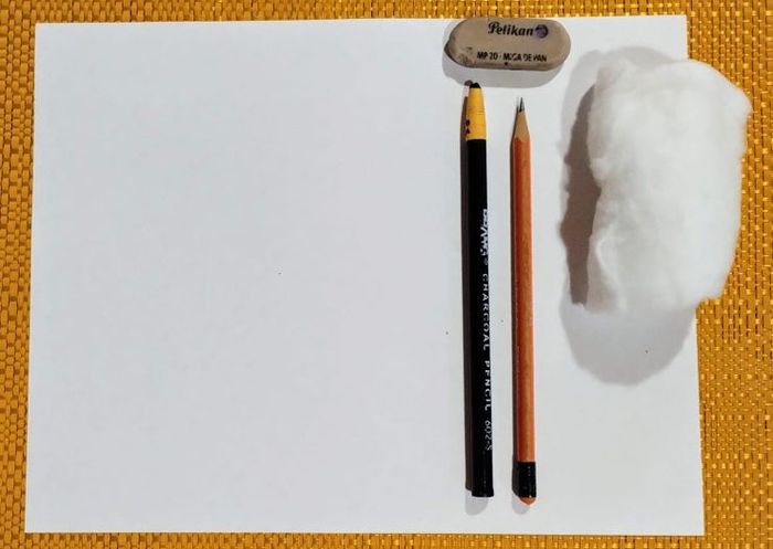 用炭笔画鲨鱼,致敬海洋守护者的艺术之旅-第2张图片-趣作屋 用炭笔画鲨鱼,致敬海洋守护者的艺术之旅-第2张图片-趣作屋