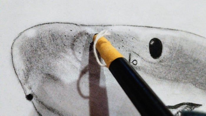 用炭笔画鲨鱼,致敬海洋守护者的艺术之旅-第21张图片-趣作屋 用炭笔画鲨鱼,致敬海洋守护者的艺术之旅-第21张图片-趣作屋