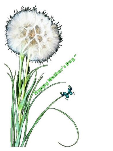 亲手制作蒲公英贺卡，环保又暖心的手工教程-第10张图片-趣作屋