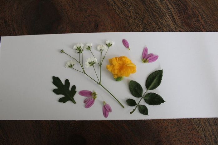 手工压花卡片制作教程，母亲节创意礼物推荐-第12张图片-趣作屋