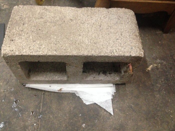 用海藻做艺术！低成本制作海洋标本的创意手工教程-第6张图片-趣作屋