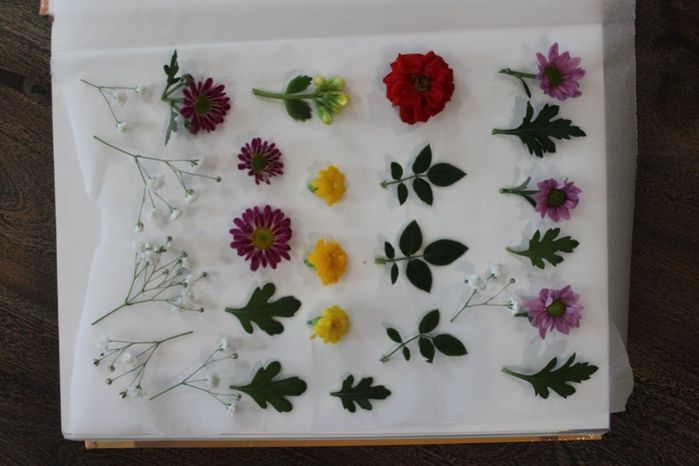 手工压花卡片制作教程，母亲节创意礼物推荐-第7张图片-趣作屋