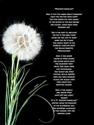 亲手制作蒲公英贺卡，环保又暖心的手工教程-第32张图片-趣作屋