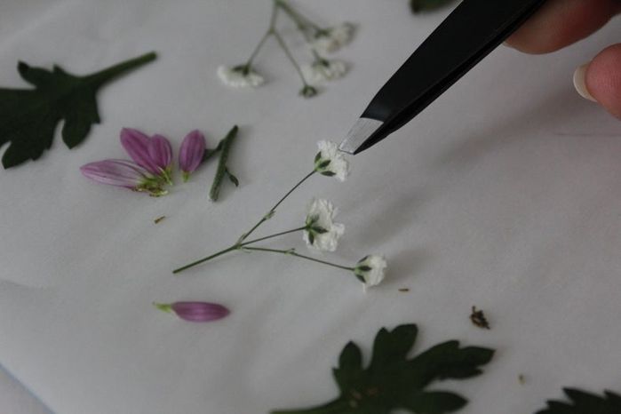 手工压花卡片制作教程，母亲节创意礼物推荐-第11张图片-趣作屋