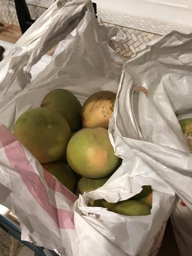 零成本废物利用圣诞树教程-第7张图片-趣作屋 零成本废物利用圣诞树教程-第7张图片-趣作屋