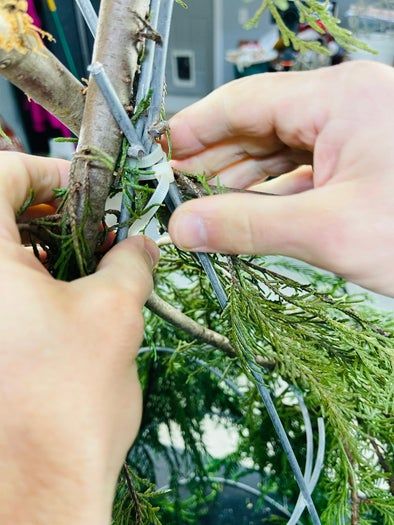 轻松制作梦幻圣诞小矮人手工教程-第7张图片-趣作屋