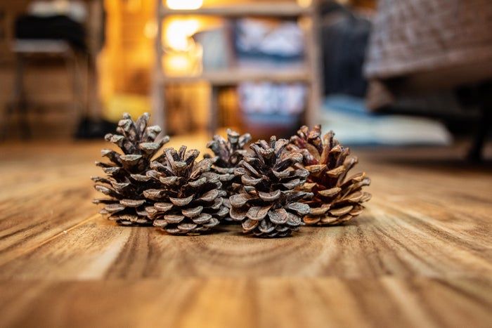 城市居民也能做的趣味松果花环手工教程-第5张图片-趣作屋 城市居民也能做的趣味松果花环手工教程-第5张图片-趣作屋