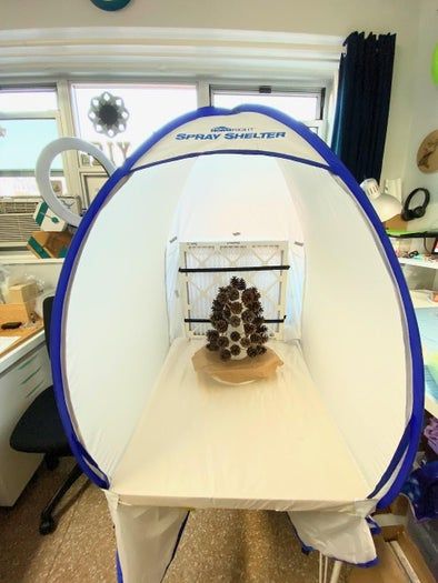 城市居民也能做的趣味松果花环手工教程-第7张图片-趣作屋 城市居民也能做的趣味松果花环手工教程-第7张图片-趣作屋