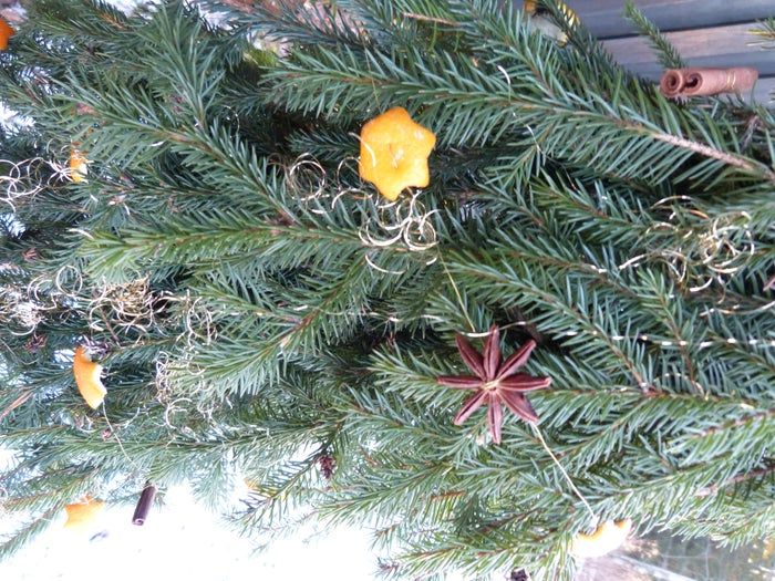 简易环保风圣诞树与挂饰DIY教程-第34张图片-趣作屋