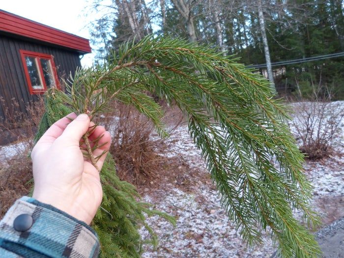 简易环保风圣诞树与挂饰DIY教程-第21张图片-趣作屋