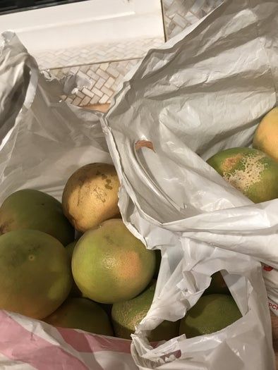 零成本废物利用圣诞树教程-第8张图片-趣作屋 零成本废物利用圣诞树教程-第8张图片-趣作屋