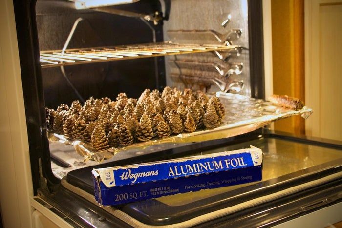 城市居民也能做的趣味松果花环手工教程-第4张图片-趣作屋 城市居民也能做的趣味松果花环手工教程-第4张图片-趣作屋