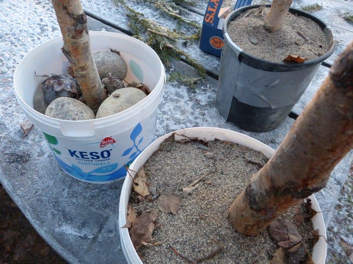 简易环保风圣诞树与挂饰DIY教程-第10张图片-趣作屋