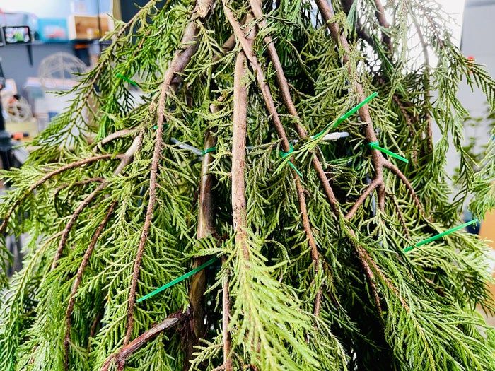 轻松制作梦幻圣诞小矮人手工教程-第9张图片-趣作屋