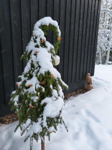 简易环保风圣诞树与挂饰DIY教程-第4张图片-趣作屋