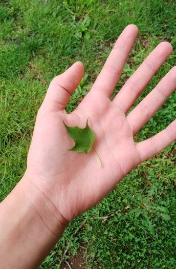 春日手工DIY：剩余陶土制作个性叶脉钥匙扣教程-第5张图片-趣作屋