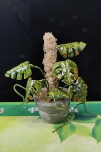 陶土制作微型室内植物教程-复刻龟背竹海芋步骤-第7张图片-趣作屋 陶土制作微型室内植物教程-复刻龟背竹海芋步骤-第7张图片-趣作屋