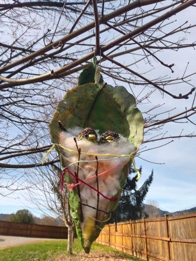 创意缝叶莺鸟巢手工制作教程-第2张图片-趣作屋