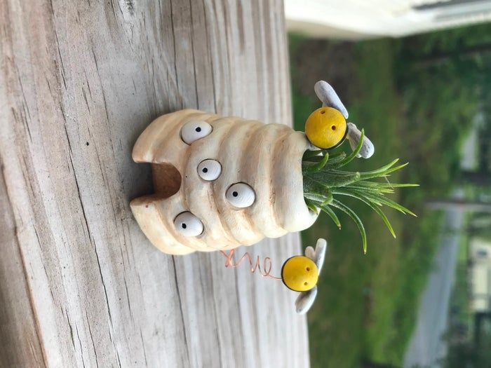 聚合物粘土手作蜂巢花器教程:空气凤梨支架DIY全攻略-第1张图片-趣作屋 聚合物粘土手作蜂巢花器教程:空气凤梨支架DIY全攻略-第1张图片-趣作屋