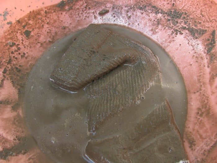 低成本水泥地精DIY教程-庭院装饰手作指南-第22张图片-趣作屋 低成本水泥地精DIY教程-庭院装饰手作指南-第22张图片-趣作屋