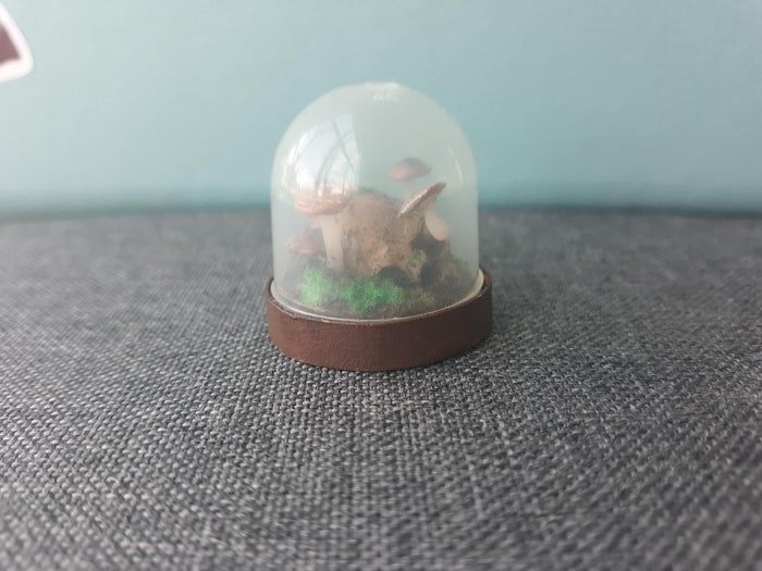 扭蛋机胶囊DIY：微型生态瓶立体场景制作教程-第26张图片-趣作屋