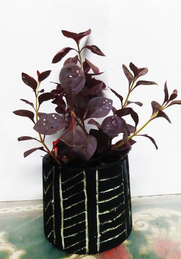 低成本混凝土花盆DIY教程：艺术与园艺的完美结合-第3张图片-趣作屋