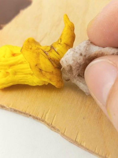 颜料渍洗技法提升手工作品立体层次详解-第16张图片-趣作屋