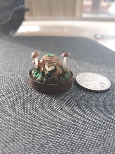 扭蛋机胶囊DIY：微型生态瓶立体场景制作教程-第4张图片-趣作屋