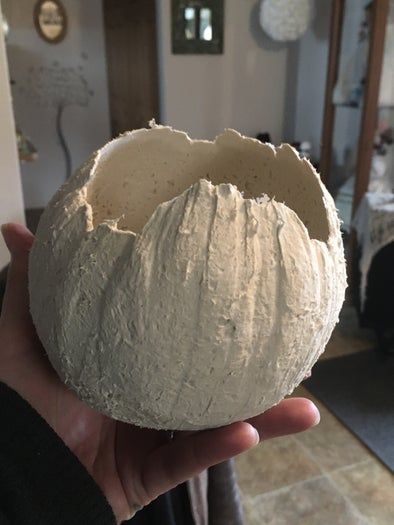 自制纸浆雕塑黏土配方对比与藤壶制作教程-第21张图片-趣作屋 自制纸浆雕塑黏土配方对比与藤壶制作教程-第21张图片-趣作屋