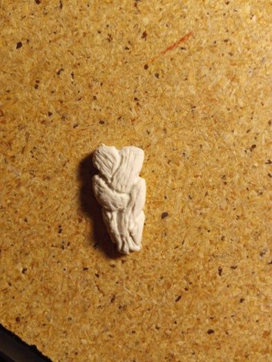 陶土手工制作花园地精教程-三种风格全攻略-第26张图片-趣作屋