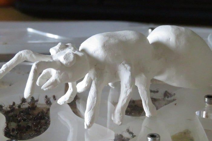 DIY巨型黏土蚂蚁模型制作教程-第2张图片-趣作屋