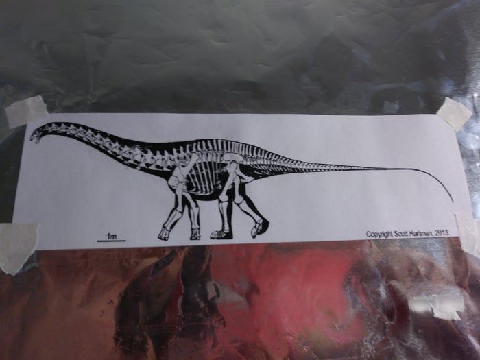 高精度微型恐龙模型制作全攻略-第6张图片-趣作屋 高精度微型恐龙模型制作全攻略-第6张图片-趣作屋