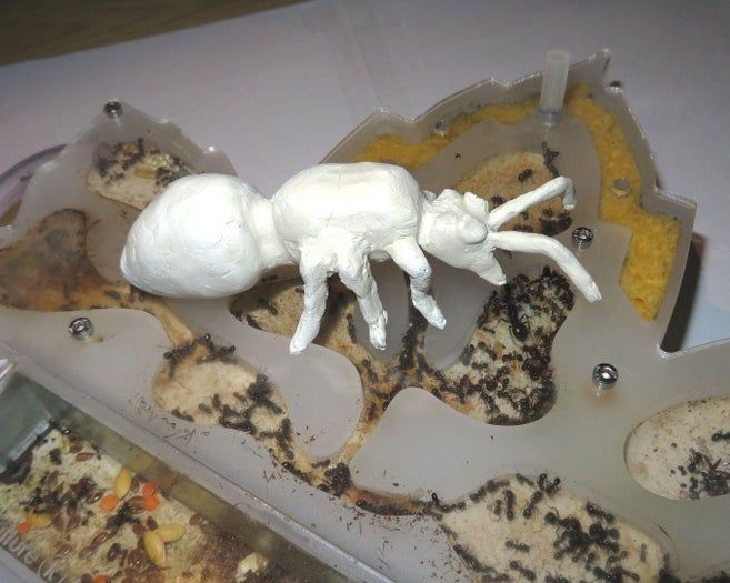 DIY巨型黏土蚂蚁模型制作教程-第1张图片-趣作屋