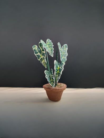 陶土制作微型室内植物教程-复刻龟背竹海芋步骤-第3张图片-趣作屋 陶土制作微型室内植物教程-复刻龟背竹海芋步骤-第3张图片-趣作屋