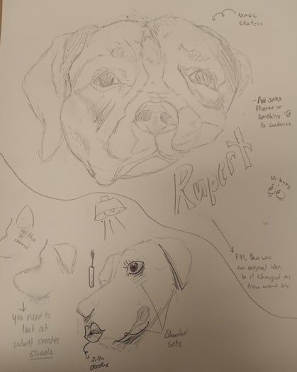 零基础刺绣教程：如何用彩色线制作比格犬肖像-第4张图片-趣作屋