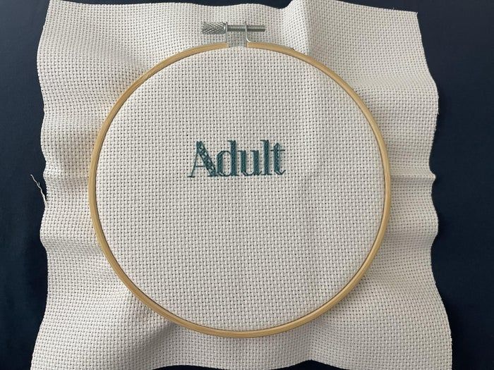 十字绣基础教程：零基础自制绣品-第11张图片-趣作屋